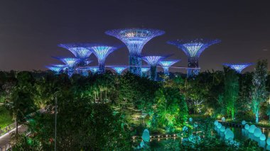 Singapur 'daki körfez gecesinde Garden' da fütürist şaşırtıcı aydınlanma. Hafif donanımlı Dragonfly Gölü. Supertree Groveis 'deki gece lambası gösterisi Marina Körfezi' nin ana turistik merkezi.