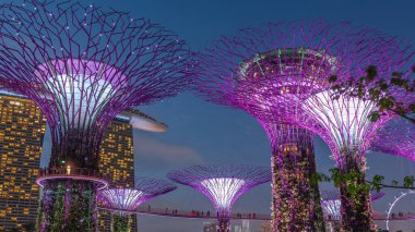 Singapur körfezi gecesinde Garden 'da gün batımından sonra muhteşem aydınlanmanın fütüristik hava görüntüsü. Supertree Groveis 'deki gece lambası gösterisi Marina Körfezi' nin ana turistik merkezi.