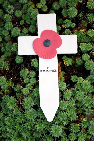 Uma Cruz Lembrança Com Flor Papoula — Fotografia de Stock