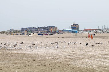 Hollanda 'daki Ijmuiden sahilinde geçici tatil evleri.