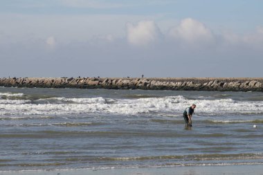 Hollanda 'daki IJmuiden sahilinde balıkçı.