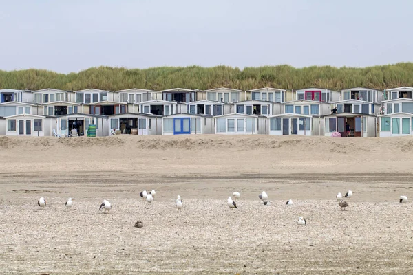 Hollanda Daki Ijmuiden Sahilinde Geçici Tatil Evleri — Stok fotoğraf