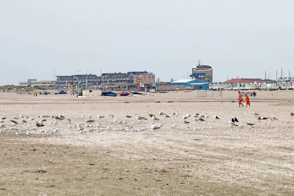 Προσωρινές Παραθεριστικές Κατοικίες Στην Παραλία Του Ijmuiden Στην Ολλανδία — Φωτογραφία Αρχείου