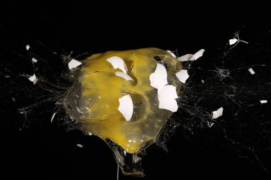 high speed photography egg shot