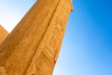 Mısır 'daki hiyeroglifler ve duvar resimleri, Deir el-Bahari mezarlığındaki Mortuary Hatshepsut Tapınağı, Luxor. Mısır 'da geziler, tatiller, gidiş dönüş.