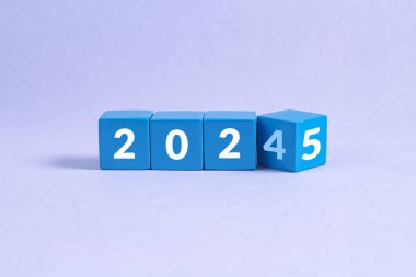 2025 Yeni Yıl Konsepti