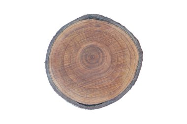 A cut of a tree on a light background. The texture of the tree in the cut.