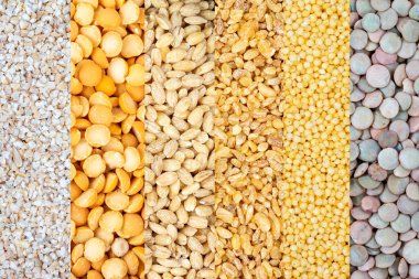 Kashi. Texture of different cereals.