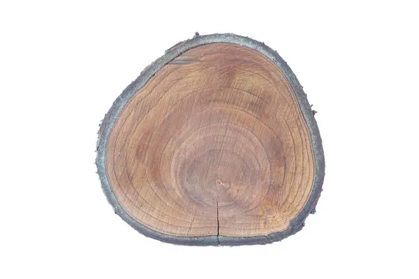 Baumstamm Textur Hintergrund Weißes Holz — Stockfoto