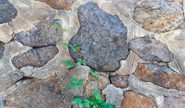 Fundo Parede Pedra Textura Pedra — Fotografia de Stock