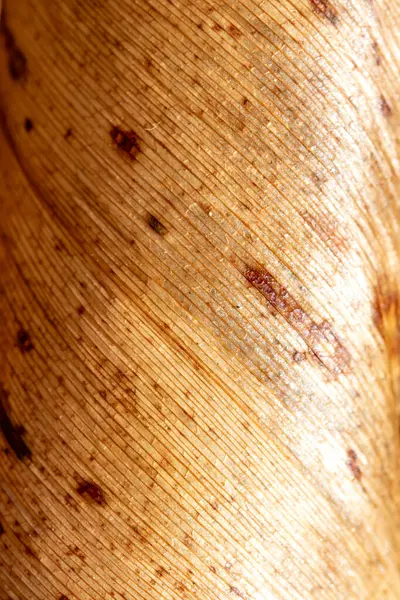 Nahaufnahme Einer Braunen Holzstruktur — Stockfoto