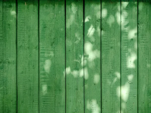 green wall of old wooden planks with green leaves