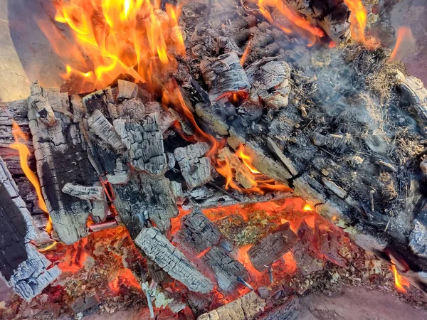 Burning Firewood Forest — Stock Photo, Image