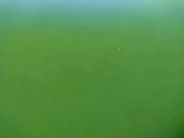 Grünes Wasser Hintergrund Wasseroberfläche — Stockfoto
