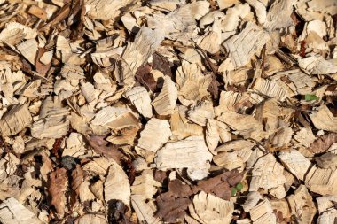 ahşap arkaplan dokusu