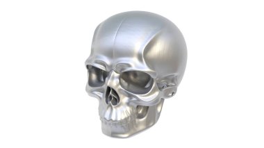 kafatası beyaz arkaplanda izole edildi