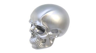 Beyaz arka planda insan kafatası, 3 boyutlu illüstrasyon.