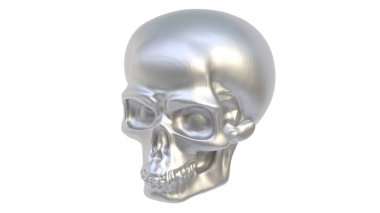 3 boyutlu insan iskeleti kafası.