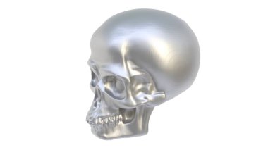 Beyaz arka planda izole edilmiş gümüş insan kafatası. 3d illüstrasyon