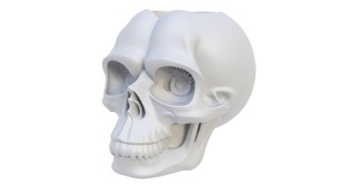 Dekoratif soyut kafatasının ışık arka planında 3 boyutlu canlandırması. 3d hazırlayıcı.