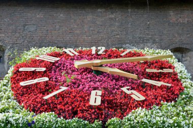 Bahçedeki çiçek tarhı, çiçekli saat