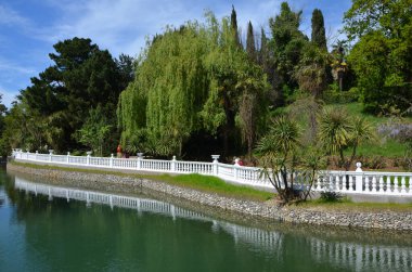 Nehir ve yeşil bitkilerle park.