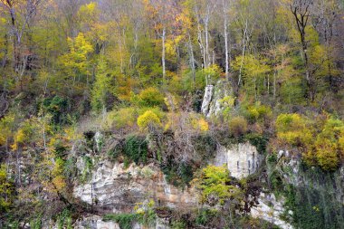 Ağaçlar ve kayalar ile güzel sonbahar ormanı