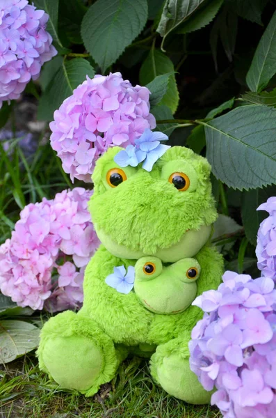 stock image soft toy frogs among the flowers 