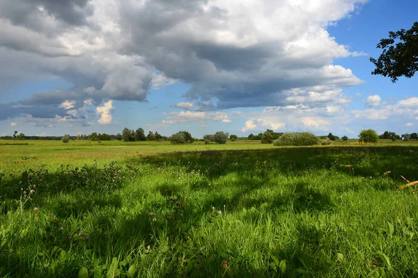 Yeşil çimenli ve bulutlu güzel yaz manzarası