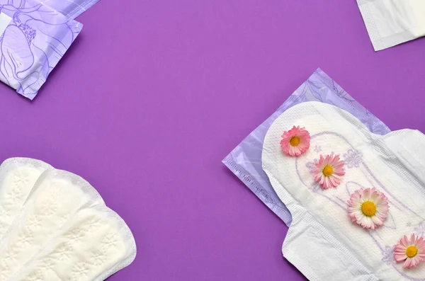 feminine hygiene products and flowers on a purple background, space for an object