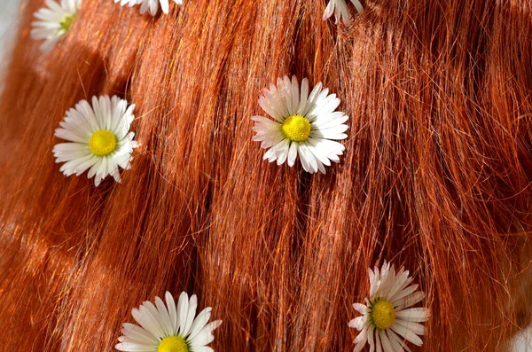 beautiful red hair and and daisies in sunlight closeup