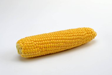 Beyaz arka planda bir çiğ mısır başı.