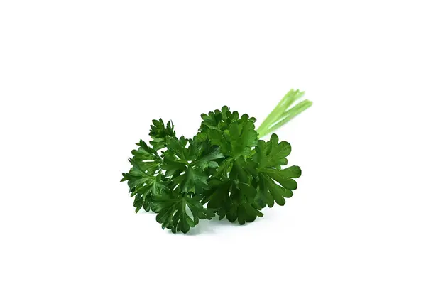 Beyaz arkaplanda izole edilmiş bir maydanoz demeti