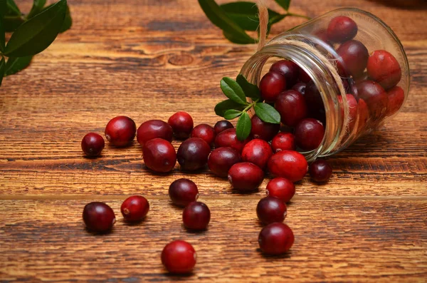 Yaban mersinleri masanın üstündeki kavanozdan dökülüyor.