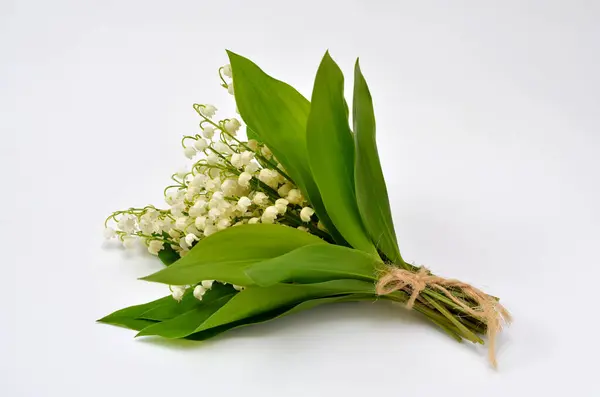 bouquet of lilies of the valley on a white background close-up