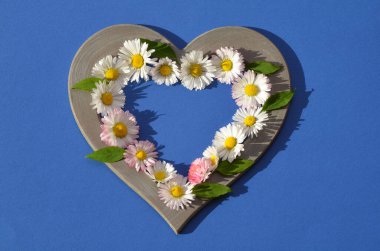 Mavi arka planda kalp şeklinde serilmiş papatya ve yaprak tomurcukları.