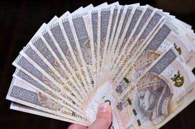 Lehçe banknotların koyu arkaplan üzerindeki hayranı