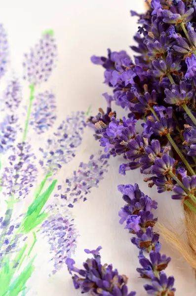 fresh purple lavender flowers and painted flowers close up