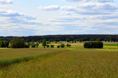 Yeşil çayırlar ve ağaçlarla çevrili kırsal alan