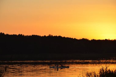 Günbatımında yaz tatili Wakeboard 'daki iki kızın siluetleri.