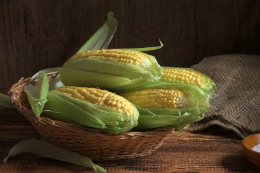 corn cobs with leaves in a basket clipart