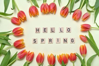 Yazıtta merhaba bahar ve açık arkaplanda taze laleler.