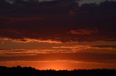Ormanın karanlık kıyısında gün batımı gökyüzü