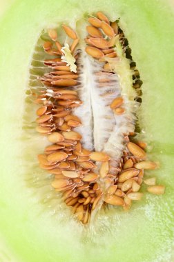 Tohumları olan taze kavun çekirdeği makro görüntüyü kapat