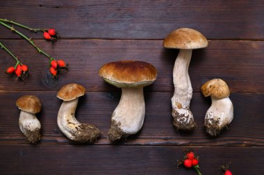 Tahta arka planda taze boletus mantarları gül kalçaları