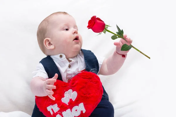 Cute Baby Chubby Cheeks Holding Rose Pen Heart Her Knees — Stok fotoğraf