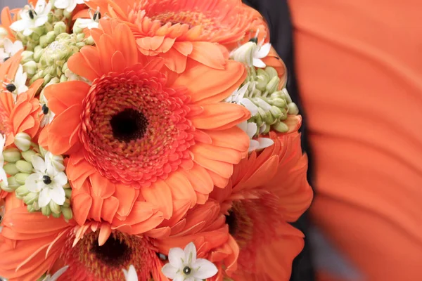 gerberas in the color Apricot Crush - the color of the year for next 2024 according to Pantone, close-up in a bouquet.