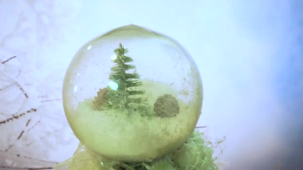Eine Transparente Kugel Mit Schnee Einem Weihnachtsbaum Und Tannenzapfen Inneren — Stockvideo
