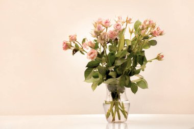 Şeffaf bir vazoda kayısı rengi buket güller, kayısı kazası 2024, açık bej arka planda tomurcuklar ve açık çiçekler. 2024 moda renk projesi için tebrik kartı ögesi.