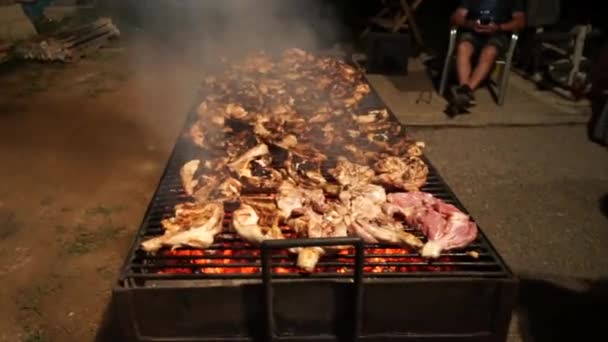 Cozinhar Kebab Shish Carcaças Frango Vídeo Carne Frango Sendo Grelhada — Vídeo de Stock